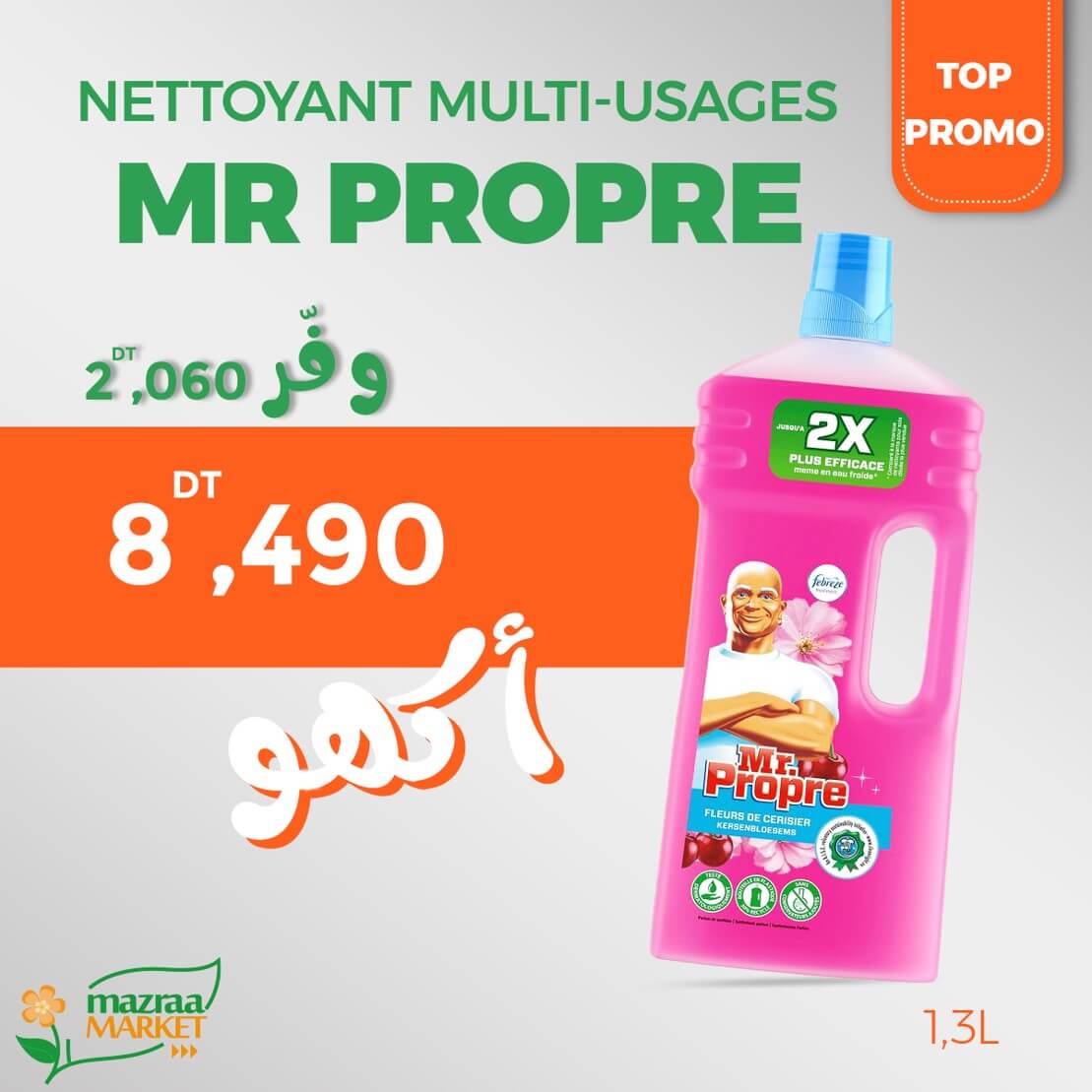 Mr Propre Concentré Multi-usages